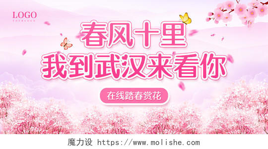 粉色简约春风十里我到武汉来看你樱花节春天樱花展板